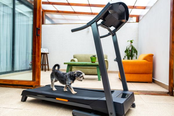 Treadmill Installation in Athens