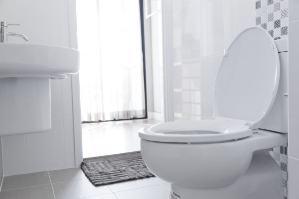 Cost of Toilet Seat Installation in Athens