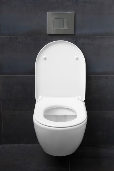 Toilet Lid Installation in Athens