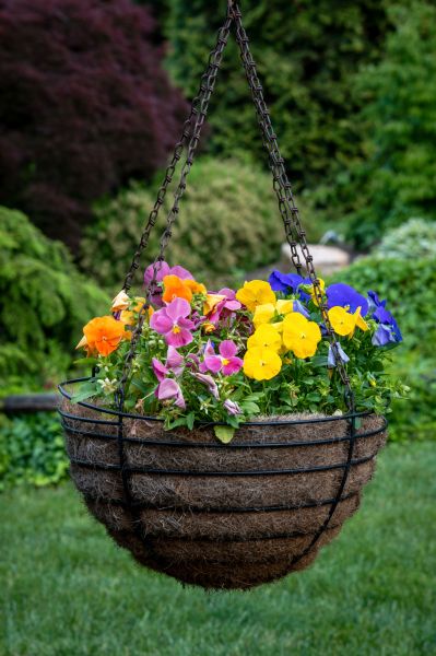 Hanging Basket Installation in Athens