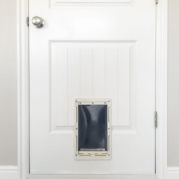 Pet Door Repair in Athens