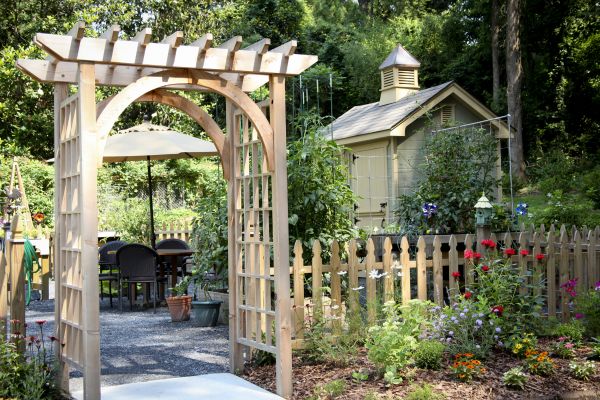 Trellis Mounting in Athens
