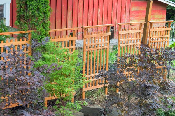 Wood Trellis Mounting in Athens