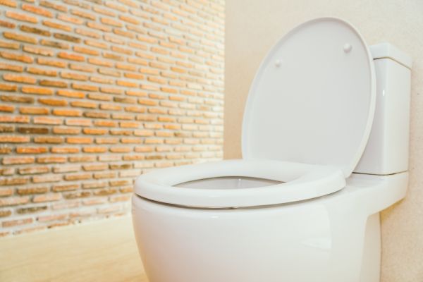 Toilet Seat Repair in Athens